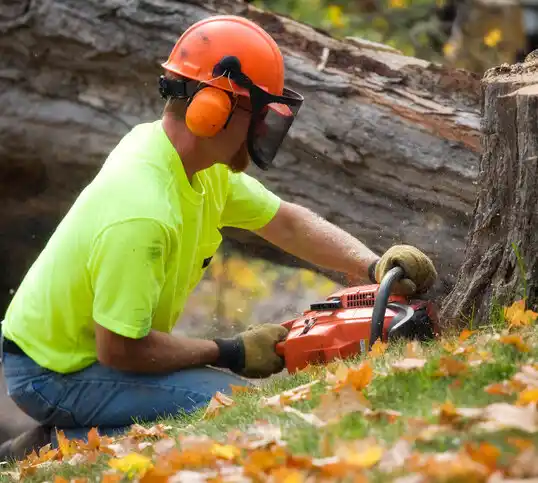 tree services Country Club Hills